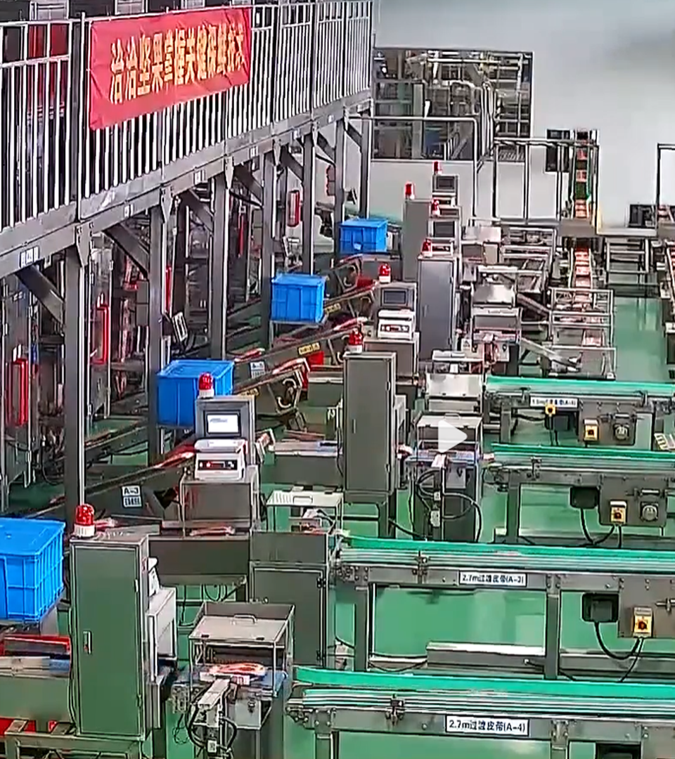 2020年Jackpot透明工厂直播